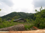 額田の山風景