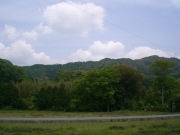 額田の山風景