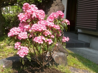 今日の現場での一枚