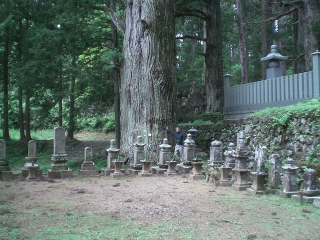 高野山の杉の木の中に私が映っています探して下さい