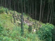 吉野桜で有名な吉野山