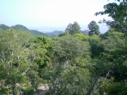 吉野山竹林院群芳園